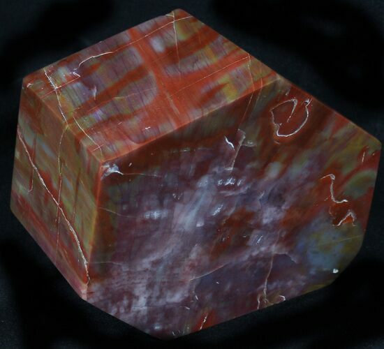 Petrified Wood Block - Polish On All Sides #31460